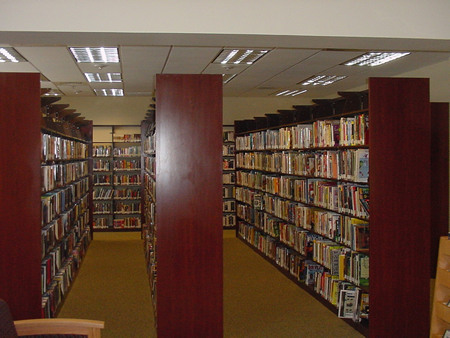 Here's a cozy space for reading or research. Find reference information, biographies, novels, and books of popular nonfiction, fantasy and mystery - with many in large print, and DVD. Computers are nearby for web searching. Best of all, your library staff is close by, ready to help you find what you need. 