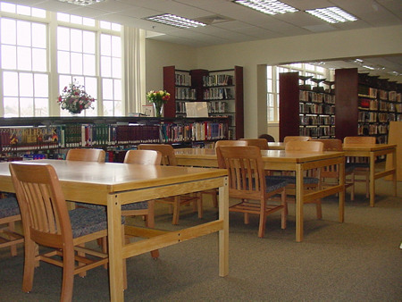 Here's a cozy space for reading or research. Find reference information, biographies, novels, and books of popular nonfiction, fantasy and mystery - with many in large print, and DVD. Computers are nearby for web searching. Best of all, your library staff is close by, ready to help you find what you need. 