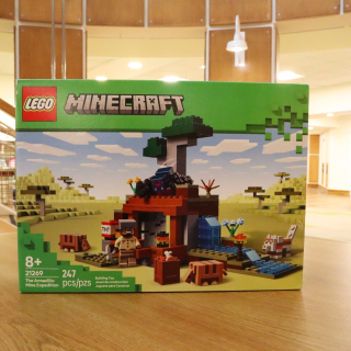 Lego Minecraft Prize - Summer Challenge 2025 Prize